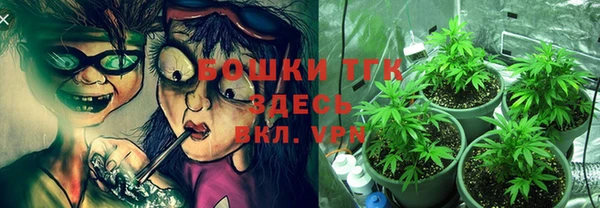 дмт Алексин