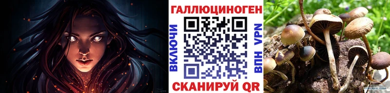 Галлюциногенные грибы ЛСД  как найти   Всеволожск 