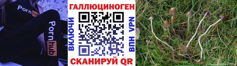 Псилоцибиновые грибы MAGIC MUSHROOMS Всеволожск