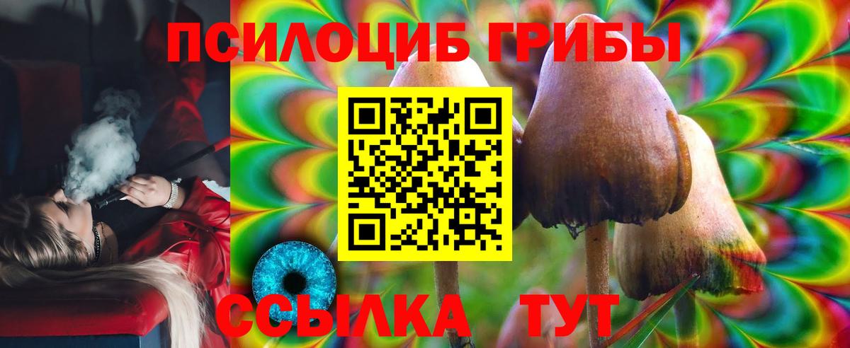 Псилоцибиновые грибы MAGIC MUSHROOMS  Вход с VPN  Всеволожск 